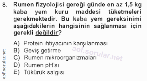 Soru 8