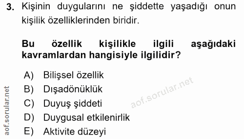 Soru 3