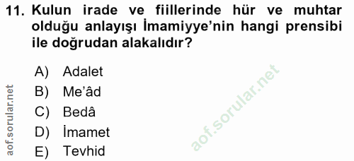 Soru 11
