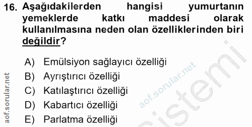 Soru 16