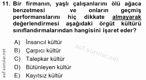 Soru 11