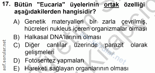 Soru 17