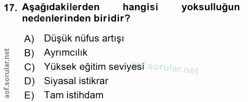 Soru 17