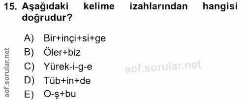 Soru 15