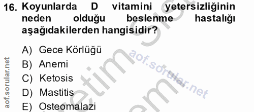 Soru 16