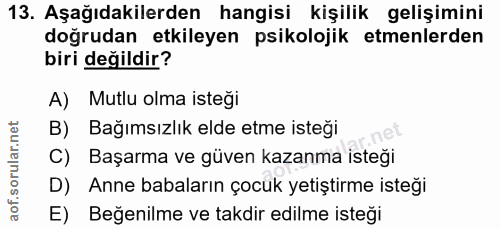 Soru 13