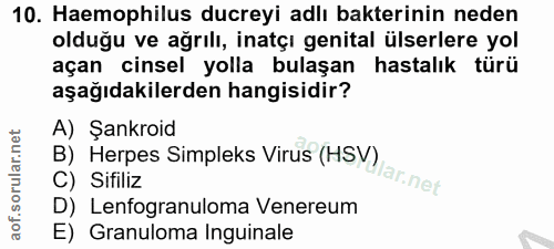 Soru 10