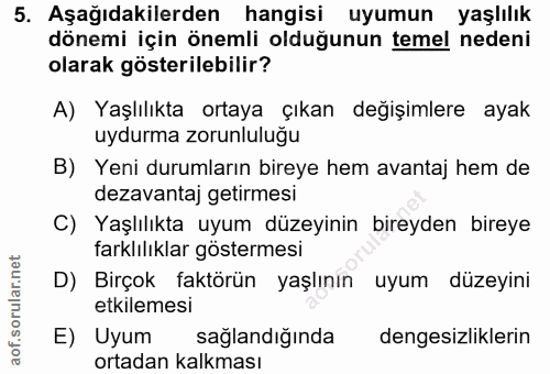 Soru 5