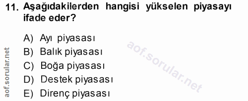 Soru 11