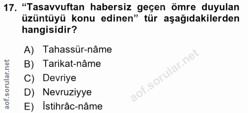Soru 17