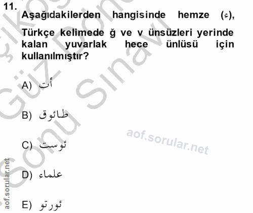Soru 11