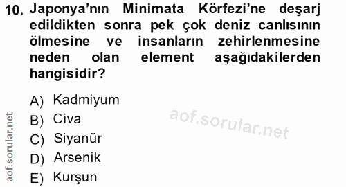 Soru 10