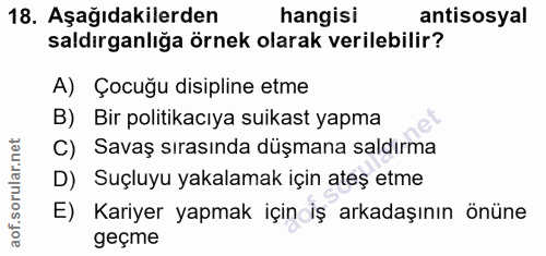 Soru 18