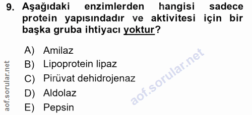 Soru 9