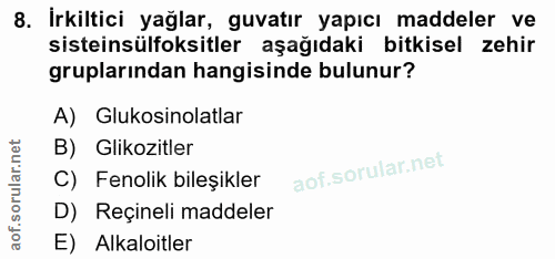 Soru 8