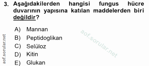 Soru 3