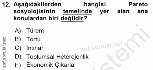 Soru 12