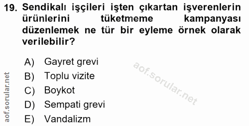 Soru 19