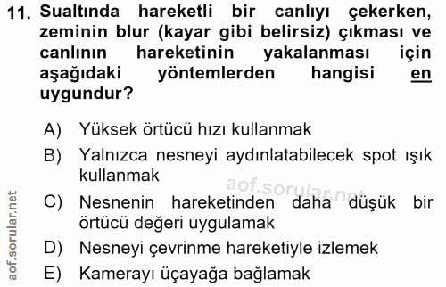 Soru 11