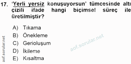 Soru 17