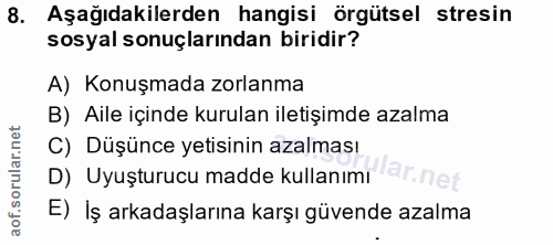 Soru 8