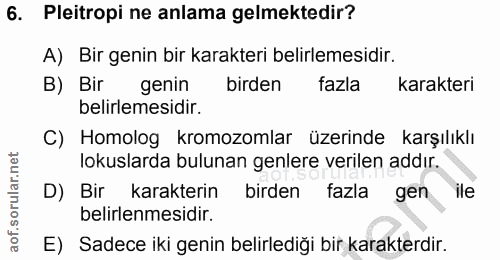 Soru 6