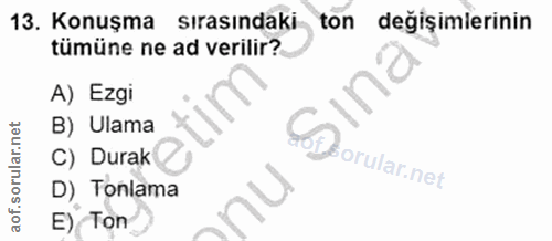 Soru 13