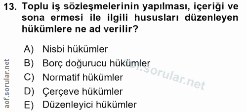 Soru 13