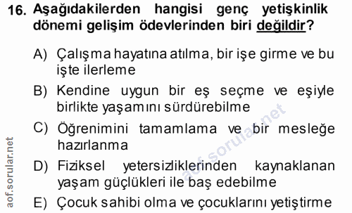Soru 16