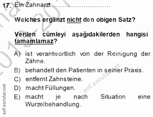 Soru 17