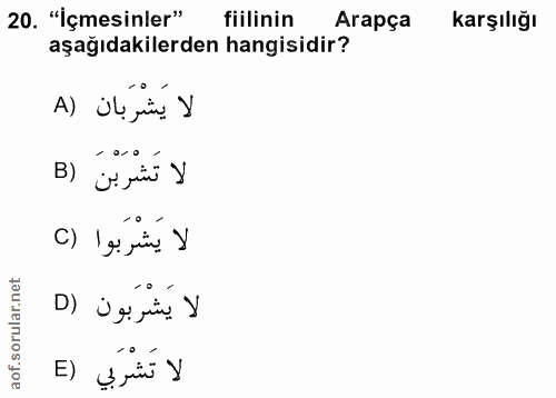 Soru 20