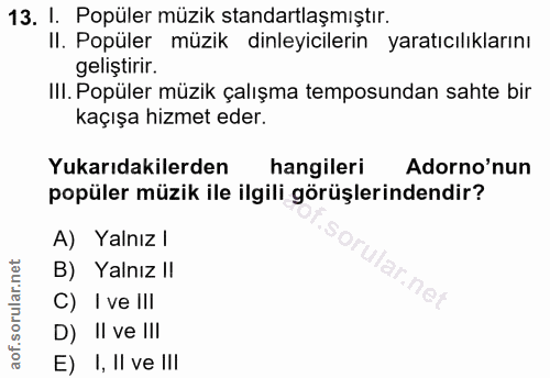 Soru 13
