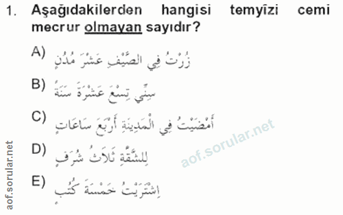 Soru 1