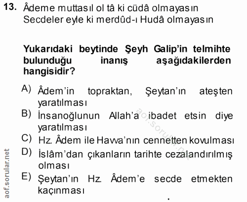 Soru 13