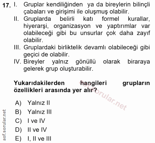 Soru 17