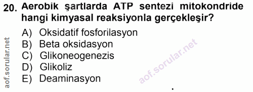 Soru 20
