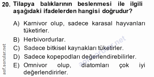 Soru 20