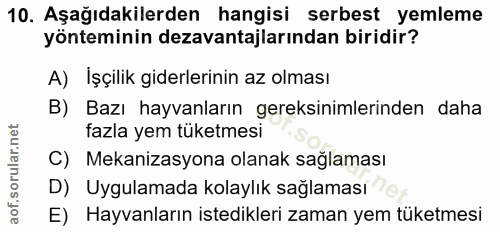 Soru 10