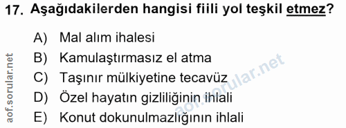 Soru 17