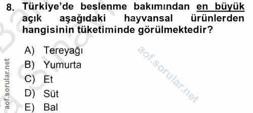 Soru 8