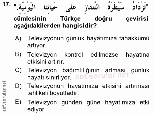 Soru 17
