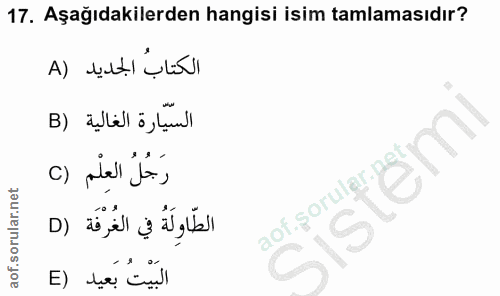 Soru 17