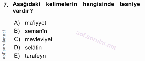 Soru 7