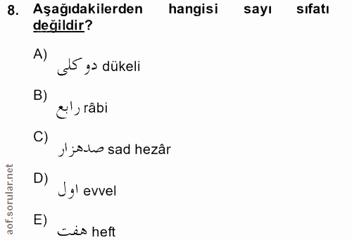 Soru 8