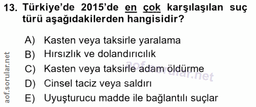 Soru 13