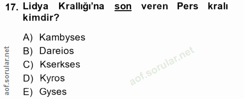 Soru 17