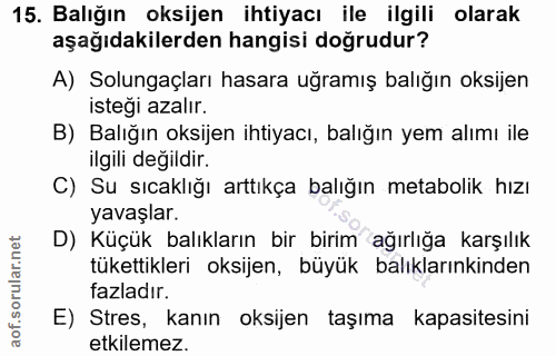 Soru 15