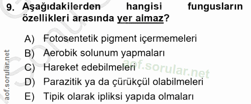 Soru 9