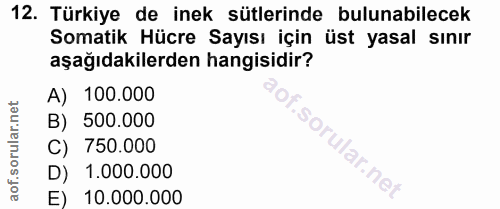 Soru 12