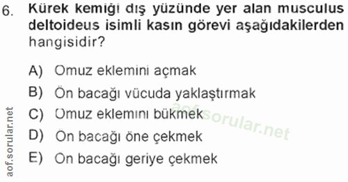 Soru 6